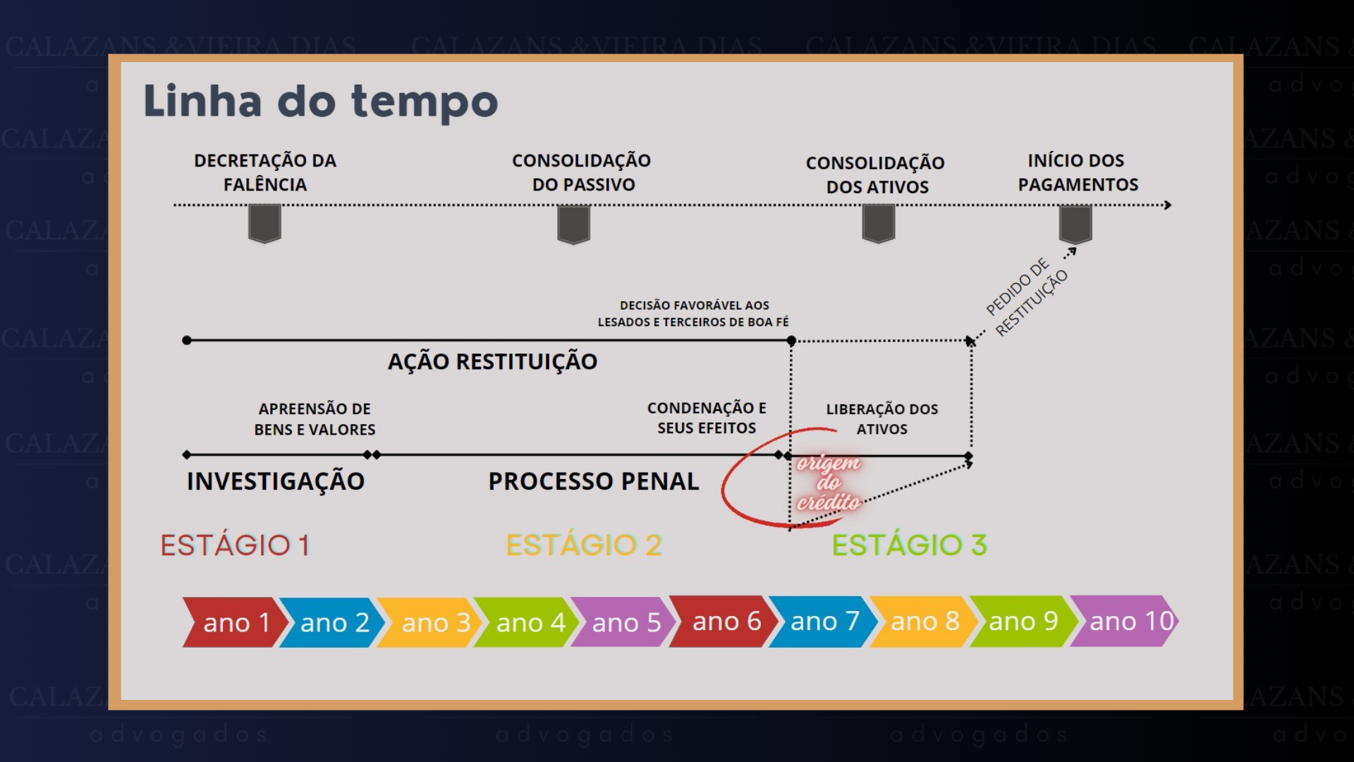 Linha do Tempo do Processo